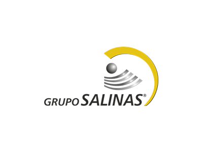 logo GRUPO SALINAS